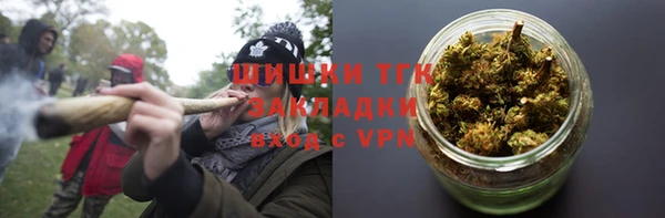 стафф Богданович