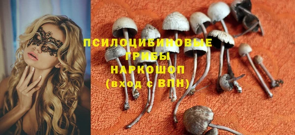 стафф Богданович