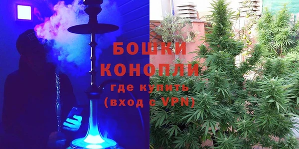 стафф Богданович