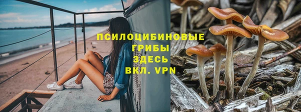 стафф Богданович